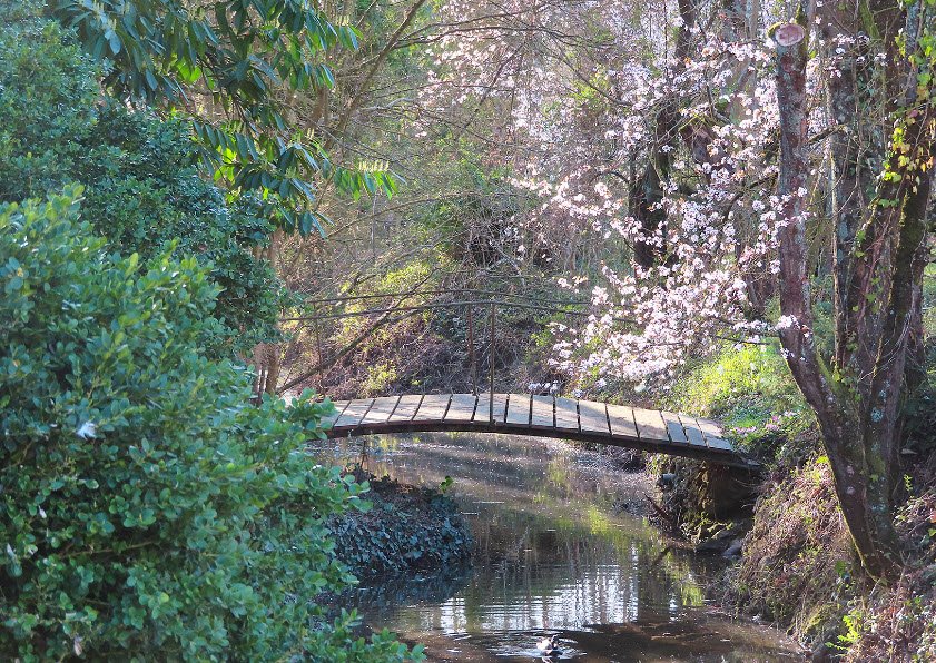 Arboretum Al Gau, Espartignac, France, France